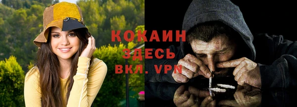 PSILOCYBIN Вяземский