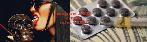 PSILOCYBIN Вяземский