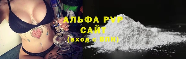 PSILOCYBIN Вяземский