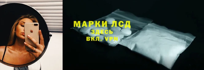 PSILOCYBIN Вяземский