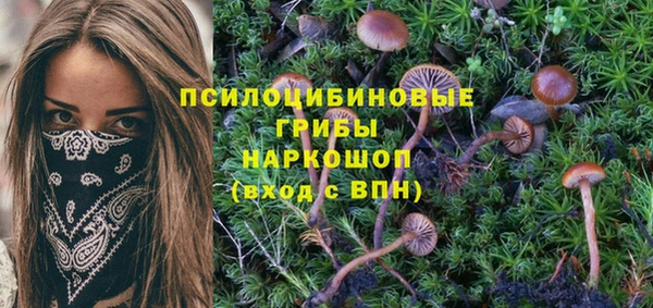 мескалин Вязники